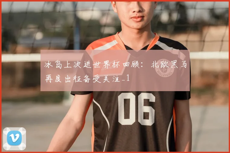 冰岛上次进世界杯回顾:北欧黑马再度出征备受关注_1