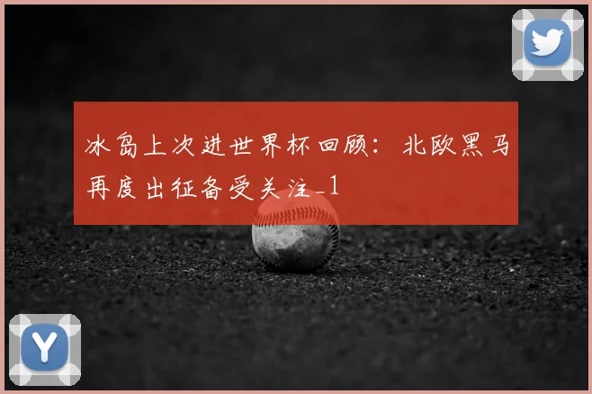 冰岛上次进世界杯回顾:北欧黑马再度出征备受关注_1